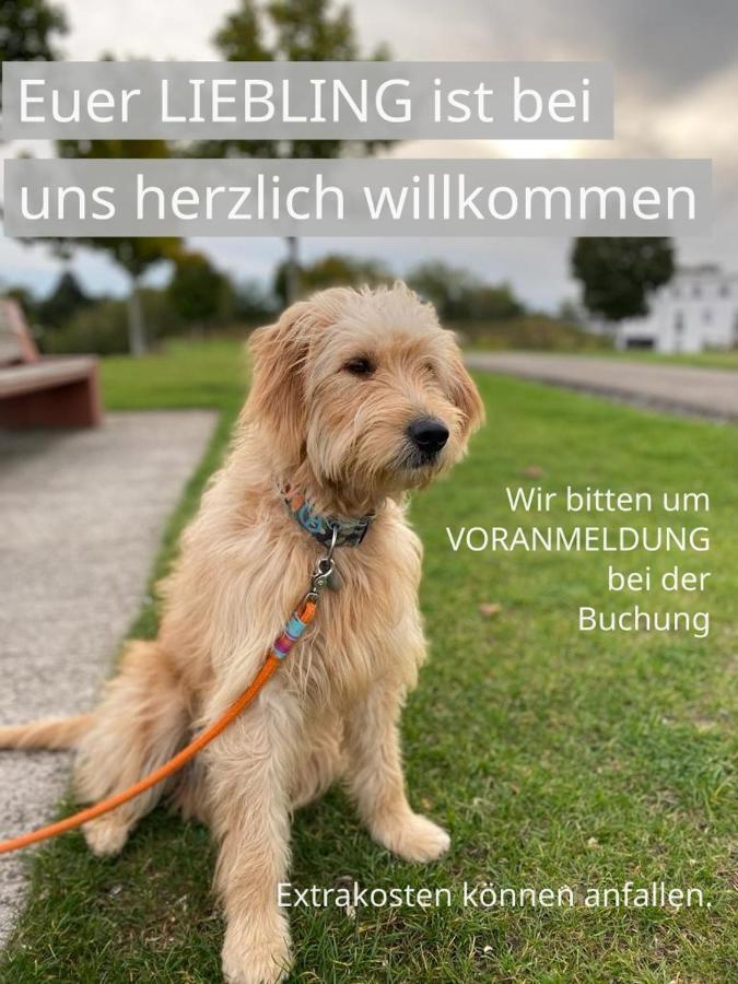 Fewo Clemens - Wohnkueche + 2 Schlafraeume + Bad + Terrasse Hamm  Exteriér fotografie